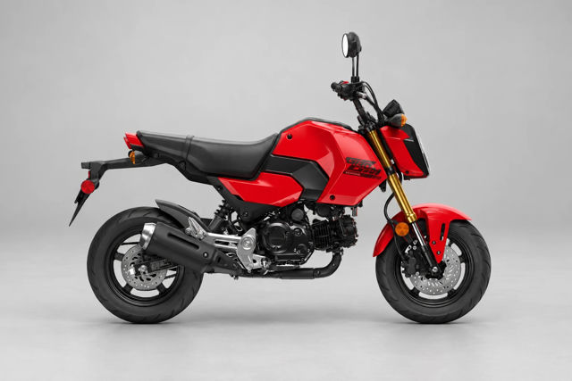 2025 Honda Grom photo 1