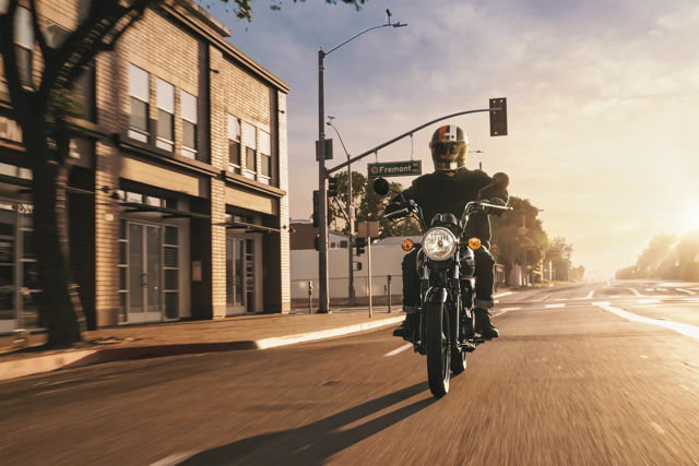 2026 Kawasaki W175 LTD photo 8