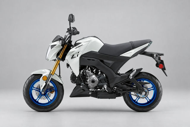 2026 Kawasaki Z125 PRO photo 2